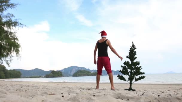 Man with green fir tree — Stock Video