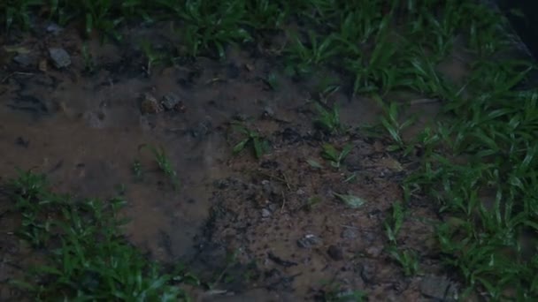 Pluie d'eau dans les tropiques 