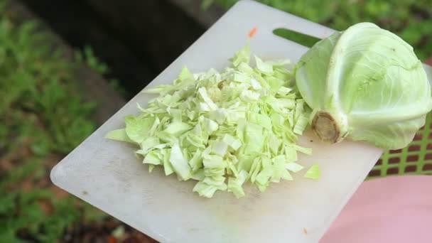 Hände mit Messer, das Kohl schneidet — Stockvideo