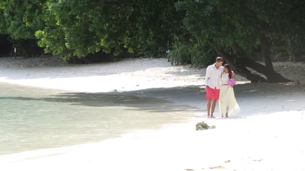 Happy groom and beautiful bride — Stock Video