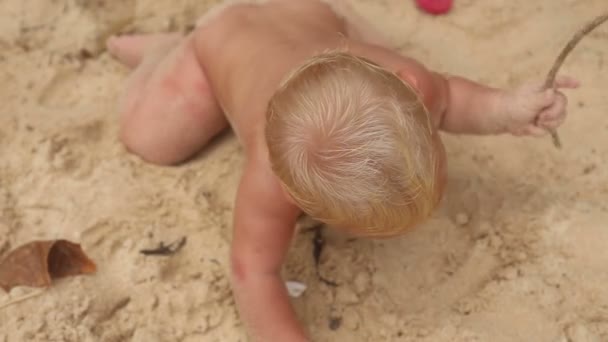 金髪の赤ちゃん女の子クロール — ストック動画