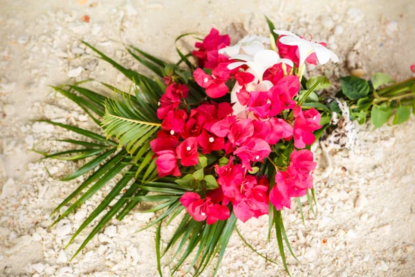 Bouquet à base de fleurs tropicales rouges — Photo