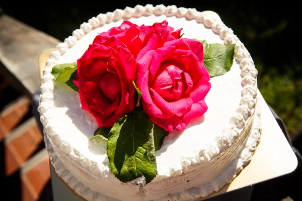 Weiße cremige leckere Kuchen Nahaufnahme — Stockfoto