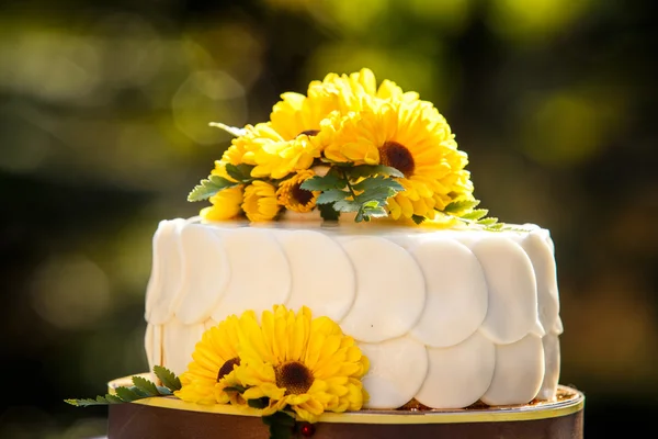 白いクリーミーなおいしいケーキ — ストック写真