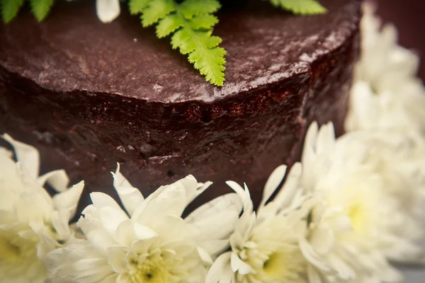 Chocolate delicioso bolo closeup — Fotografia de Stock