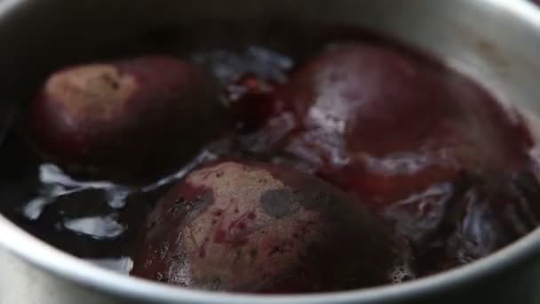 Rote Rüben im Siedepunkt — Stockvideo