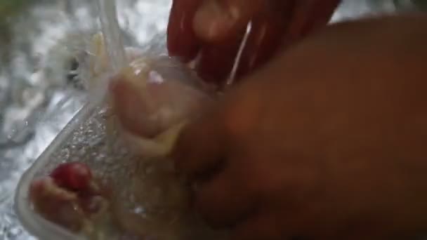 Muslos de pollo en fregadero — Vídeos de Stock