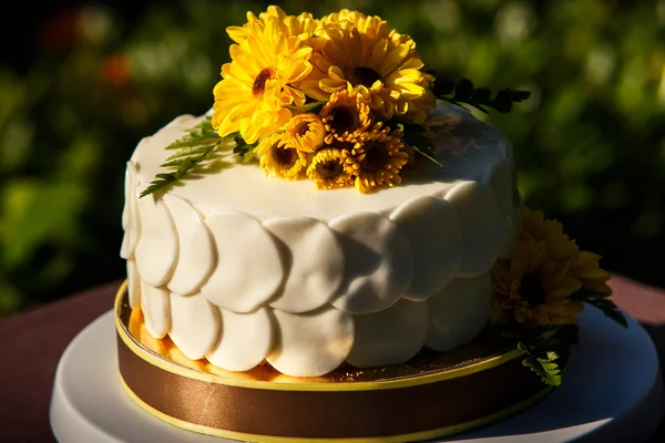 White creamy delicious cake — Stock Photo, Image