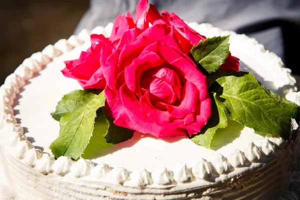 Close-up van de witte romige heerlijke taart — Stockfoto