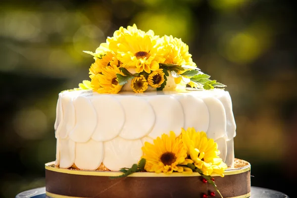 White creamy delicious cake — Stock Photo, Image