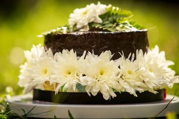 Schokolade leckeren Kuchen — Stockfoto