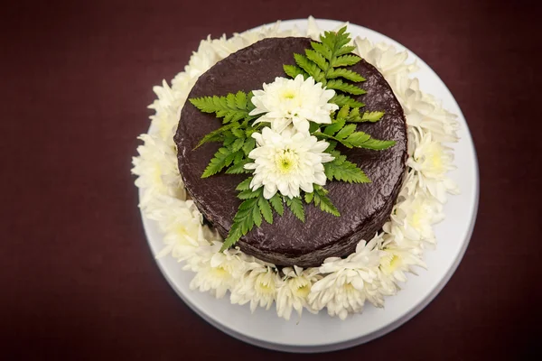 Bolo delicioso chocolate — Fotografia de Stock