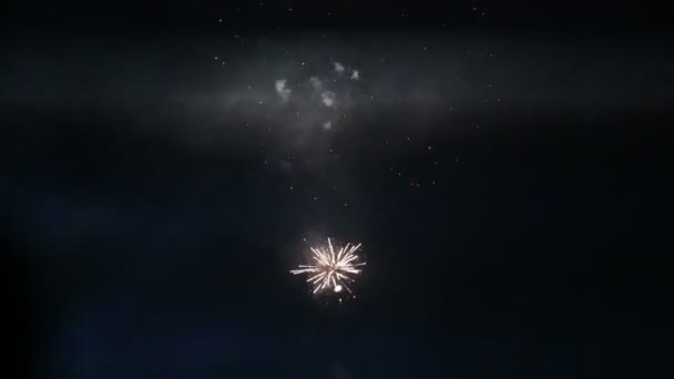 Fuegos artificiales en el cielo nocturno — Vídeos de Stock