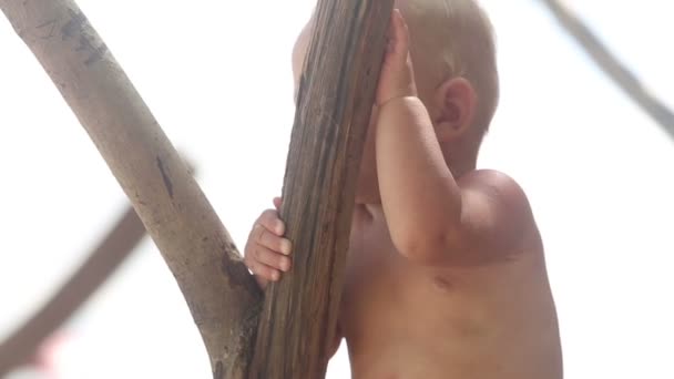 Kind zitten op boom houden een tak en glimlach — Stockvideo