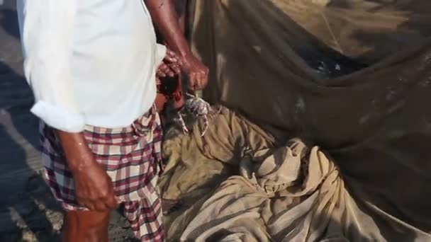 Indischer Fischer in Nationalkleidung dhoti — Stockvideo