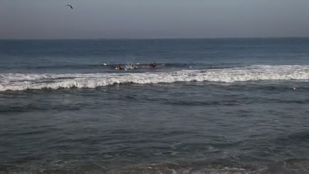 印度渔民在海上 — 图库视频影像