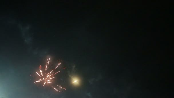 Fogos de artifício no céu noturno — Vídeo de Stock