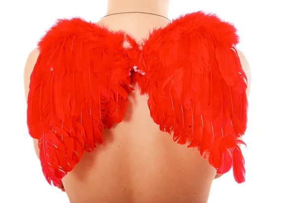 Walentynki czerwone skrzydła — Zdjęcie stockowe