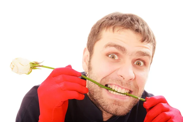 Valentine's day man with rose — Stock Photo, Image