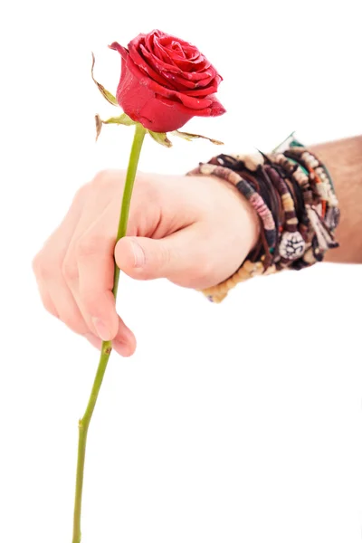 Männerhand mit roter Rose — Stockfoto