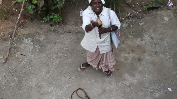Vrouwelijke straat Slangenbezweerder geld bedelen — Stockvideo