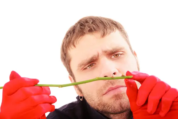 Handsome man with white rose — Stock Photo, Image