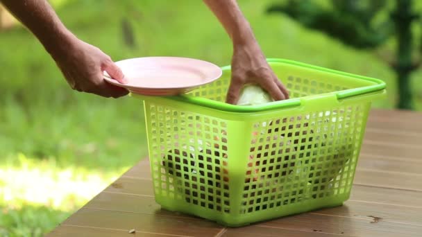 Les mains mettent le chou sur l'assiette — Video