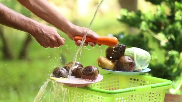 Мытье овощей под водой — стоковое видео