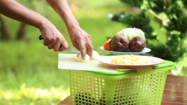 Hände schneiden Zwiebel — Stockvideo