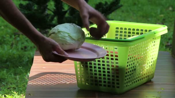 Les mains mettent des légumes sur l'assiette — Video