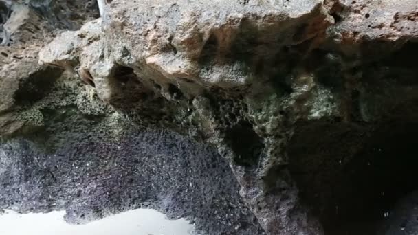 Древняя темная пещера — стоковое видео