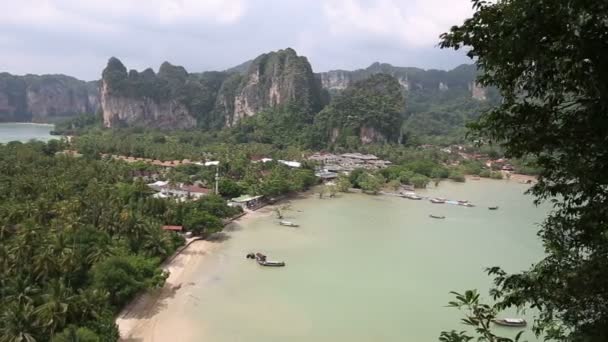 Água da lagoa da selva — Vídeo de Stock