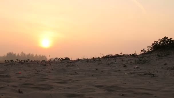 Nascer do sol no vale tropical — Vídeo de Stock