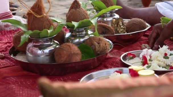 Brahmanes hindúes en ceremonia de boda — Vídeo de stock