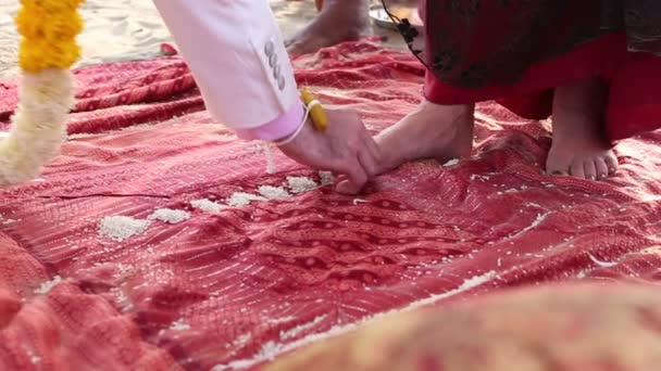 Cerimônia de casamento tradicional indiano — Vídeo de Stock