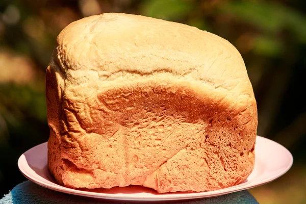 Vers brood brood — Stockfoto