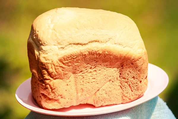 Vers brood brood — Stockfoto