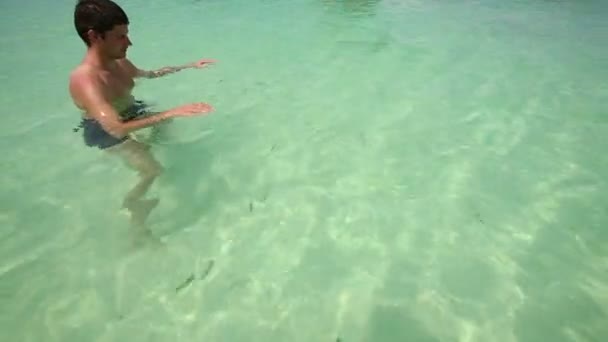 热带鱼泻湖水中的人 — 图库视频影像