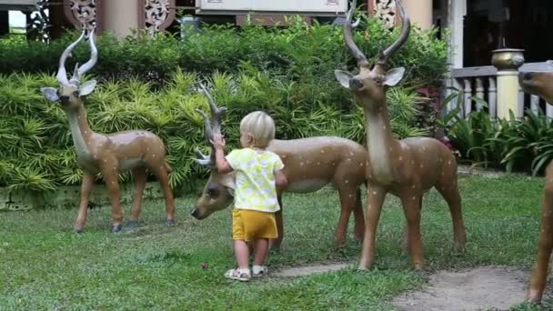小女孩用装饰鹿 — 图库视频影像