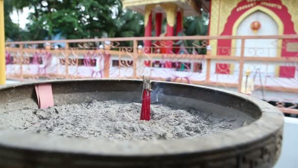 Palo de fragancia en templo de Buddha — Vídeo de stock