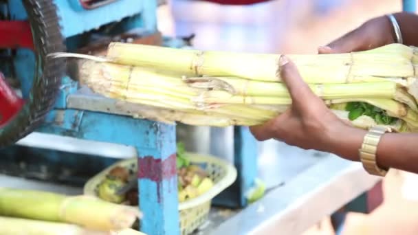 Hombre indio haciendo jugo de caña — Vídeos de Stock