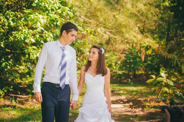 Gelin ve ormanda yakışıklı damat — Stok fotoğraf