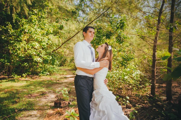 Sposa e bello sposo abbracciare — Foto Stock