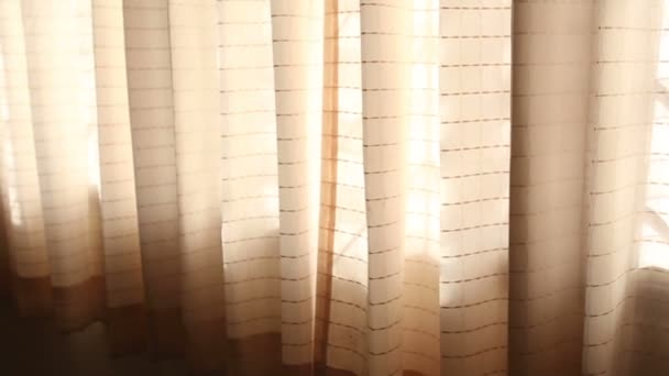 Windy curtains on window — Stock Video