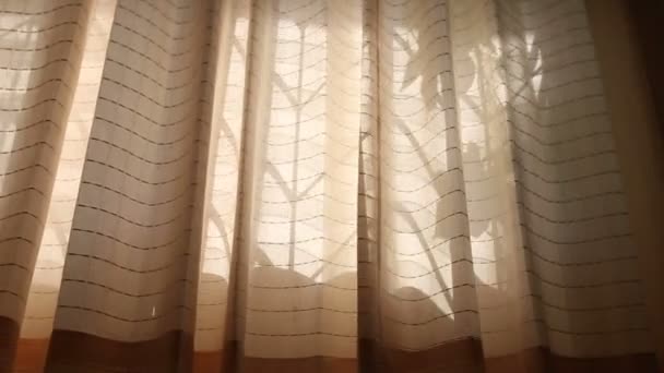 Blåsigt gardiner på fönster — Stockvideo