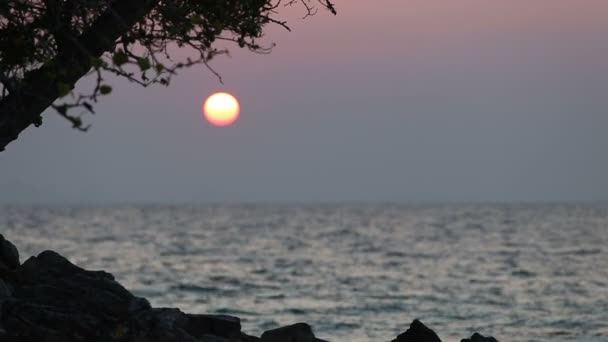 Όμορφη θάλασσα πέρα από το ηλιοβασίλεμα — Αρχείο Βίντεο