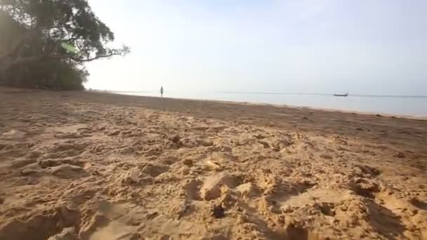 Junge Frau spaziert am Strand — Stockvideo