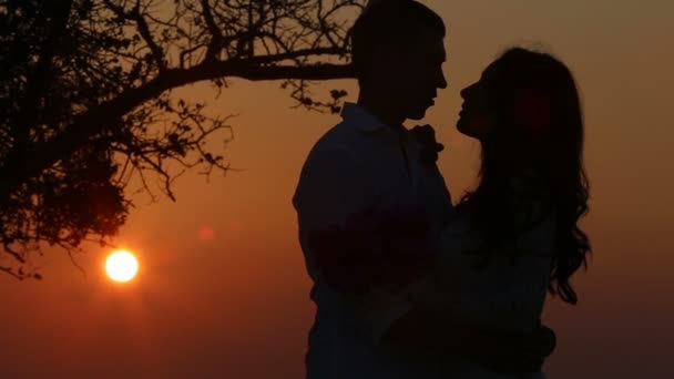 Beautiful bride in wedding dress — Stock Video