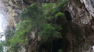 kadın arka görünümü orman Kanyon kayalıklardan çekiyor