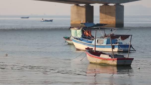 Vietnamesiske fiskebåter – stockvideo